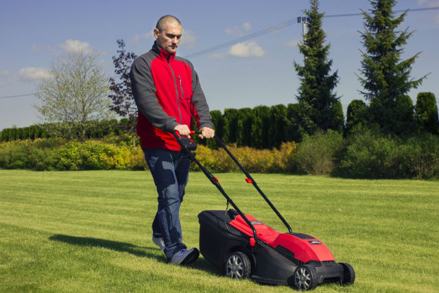 Jaka kosiarka? Elektryczna czy spalinowa? fot.: Profix